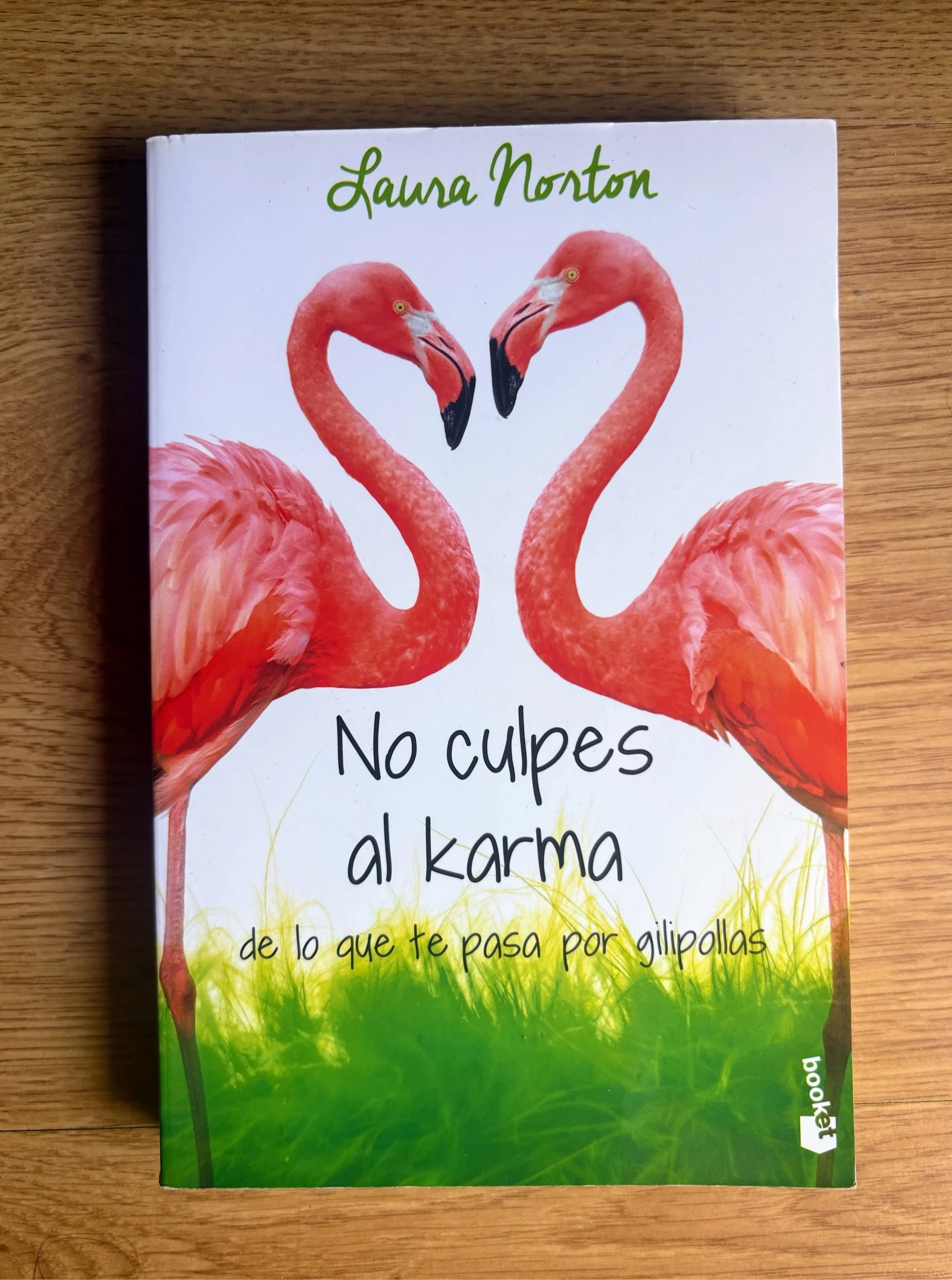 No culpes al karma de lo que te pasa por gilipollas | Laura Norton | Muy buen estado